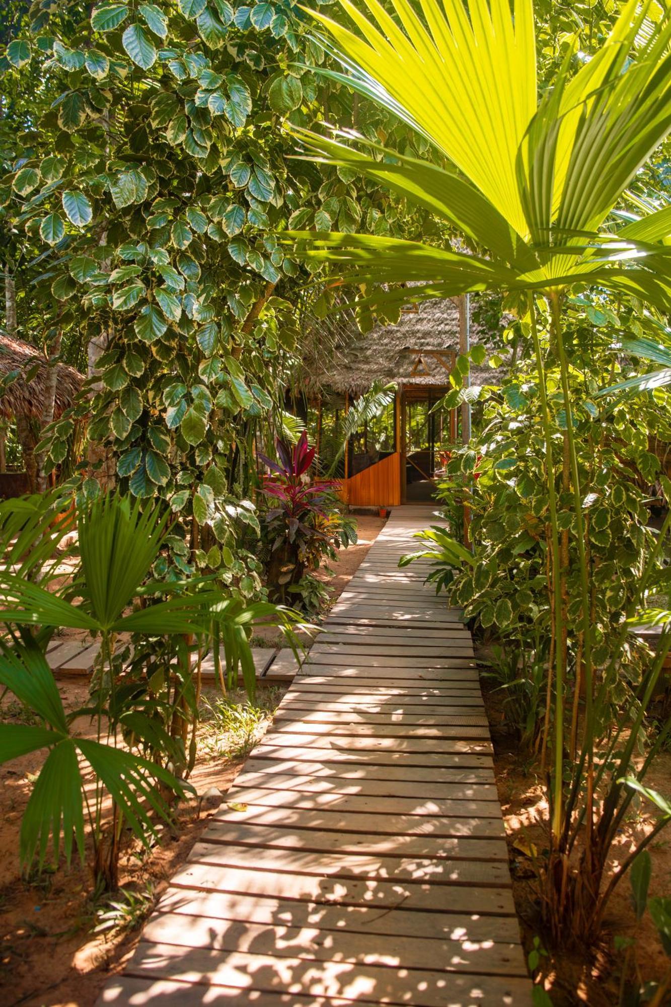 Tronco Tambopata Adventure Ξενοδοχείο Πουέρτο Μαλντονάντο Εξωτερικό φωτογραφία