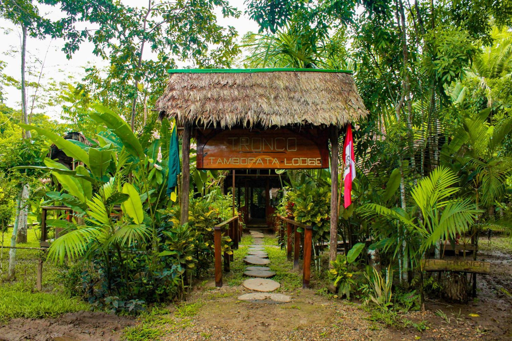 Tronco Tambopata Adventure Ξενοδοχείο Πουέρτο Μαλντονάντο Εξωτερικό φωτογραφία