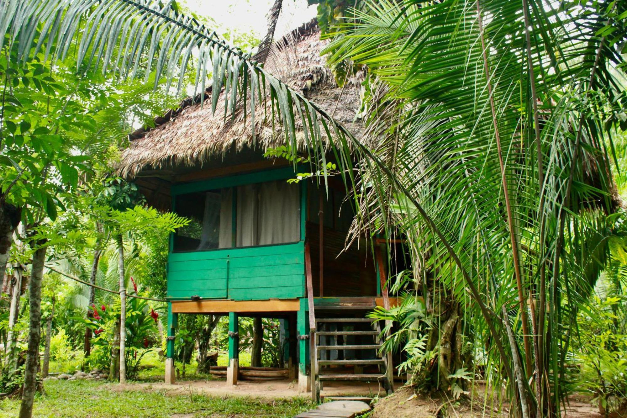 Tronco Tambopata Adventure Ξενοδοχείο Πουέρτο Μαλντονάντο Εξωτερικό φωτογραφία